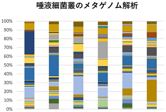 口腔細菌叢のメタゲノム解析