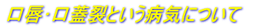���O����W��Ƃ����a�C�ɂ���