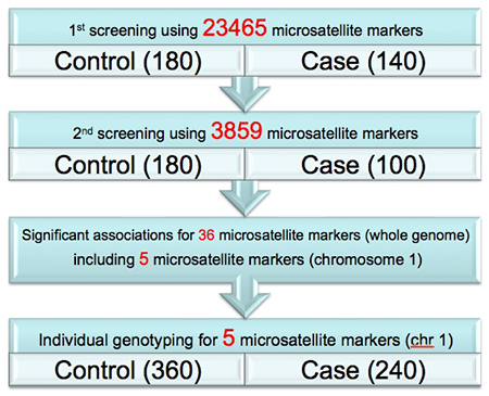 Diagram 5:Narrowing down the candidate region (screening) with pooled DNA  Method from markers in whole genome 