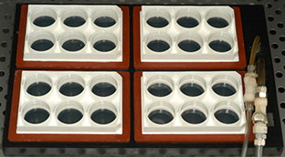 Flexercell tension system