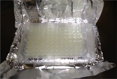 95 wells × 247 plates = 23465 markers