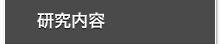 研究内容
